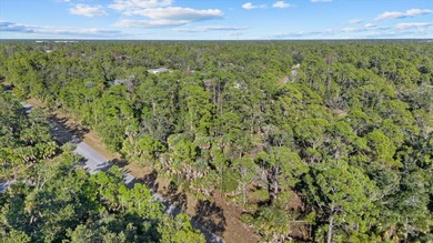 Build your Florida dream home on this vacant residential lot - photo 5