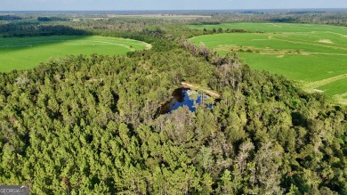 Lake Acreage For Sale in Hazlehurst, Georgia