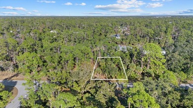 Port Charlotte Waterway Area Lot For Sale in Port Charlotte Florida