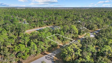 Build your Florida dream home on this vacant residential lot - photo 3