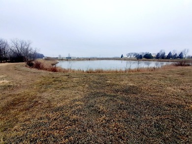 Great .91 acre finished cul de sac lot with mature trees and - photo 6
