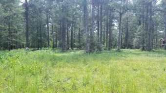 Point A Lake Lot For Sale in Andalusia Alabama
