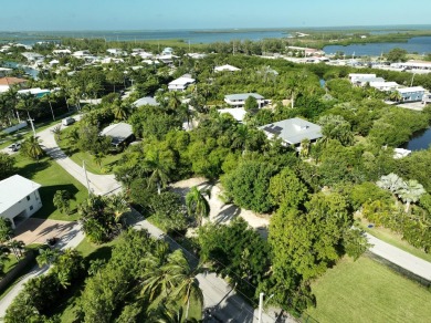 Looking for your ROGO exempt slice of paradise. Look no further - photo 12