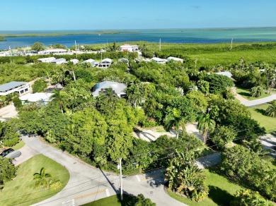 Looking for your ROGO exempt slice of paradise. Look no further - photo 14