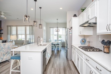 Welcome to 223 Yellow Rail Street, Murrells Inlet. This 3 - photo 17