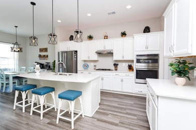Welcome to 223 Yellow Rail Street, Murrells Inlet. This 3 - photo 19