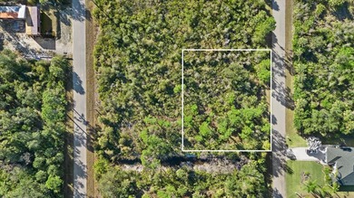 Build your Florida dream home on this double vacant residential - photo 2