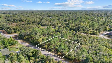 Build your Florida dream home on this double vacant residential - photo 4