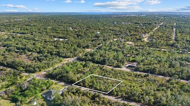 Build your Florida dream home on this double vacant residential - photo 5