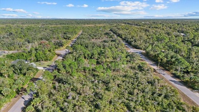 Build your Florida dream home on this double vacant residential - photo 6