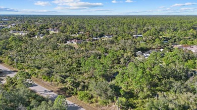Build your Florida dream home on this double vacant residential - photo 8