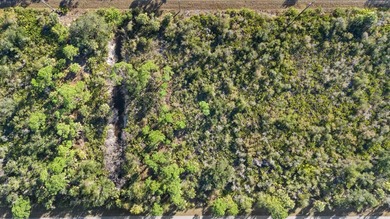 Build your Florida dream home on this double vacant residential - photo 9