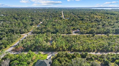 Build your Florida dream home on this double vacant residential - photo 10