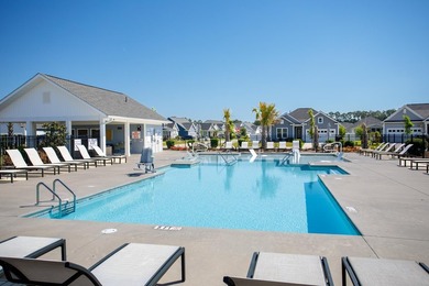 Welcome to 223 Yellow Rail Street, Murrells Inlet. This 3 - photo 38