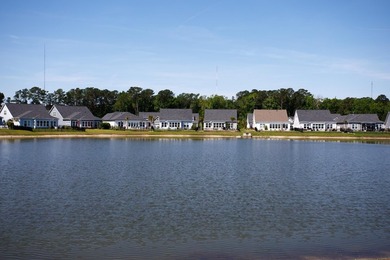 Welcome to 223 Yellow Rail Street, Murrells Inlet. This 3 - photo 39