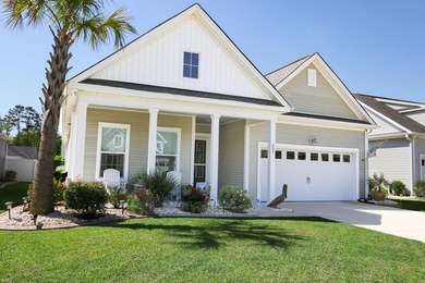 Welcome to 223 Yellow Rail Street, Murrells Inlet. This 3 - photo 42