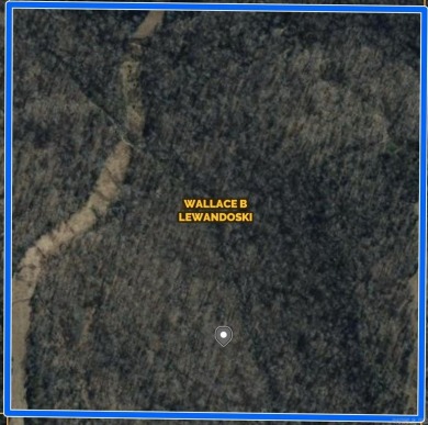 Lake Acreage For Sale in Clinton, Arkansas