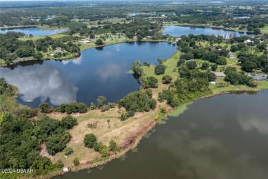 Lake Lot For Sale in Umatilla, Florida