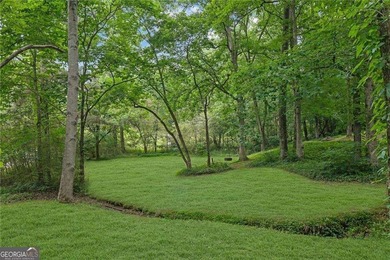 Nestled on a private lot in the quiet Lake Allatoona community - photo 45