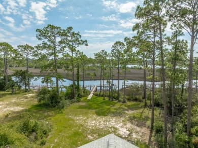 New River - Franklin County Home For Sale in Carabelle Florida