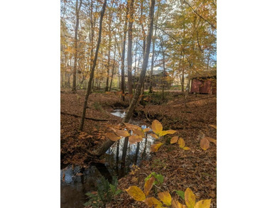 Hiawassee River Home For Sale in Hiawassee Georgia