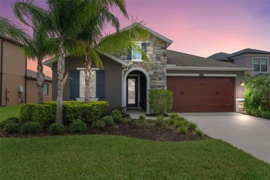 (private lake, pond, creek) Home Sale Pending in Wesley Chapel Florida