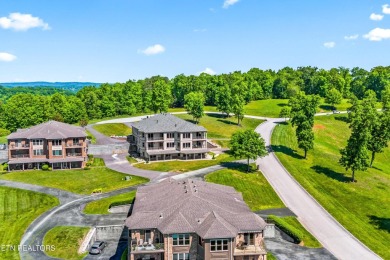 Immerse yourself in the Watts Bar Lake lifestyle and make this - photo 41