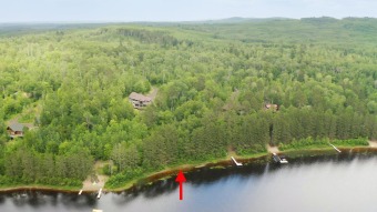 Lake Acreage Off Market in Biwabik, Minnesota