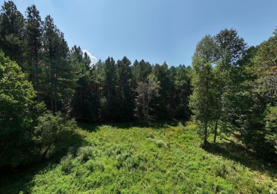 Nick-a-Jack Lake Lot For Sale in Guild Tennessee