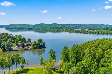 Immerse yourself in the Watts Bar Lake lifestyle and make this - photo 53