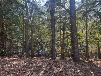 Check out this affordable water view lot in White Sand Harbour - photo 3