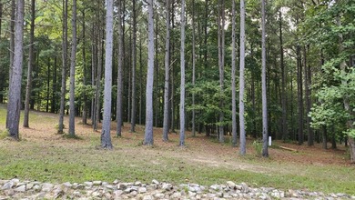 (private lake, pond, creek) Acreage For Sale in Jasper Tennessee