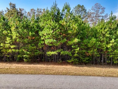 Lake Acreage For Sale in Blairsville, Georgia