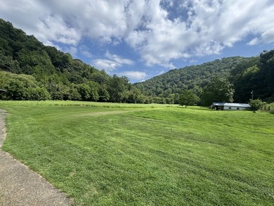 MLS11791984------179 Cow Lane, Arnoldsburg, WV - 16.63 acres +/- - photo 20