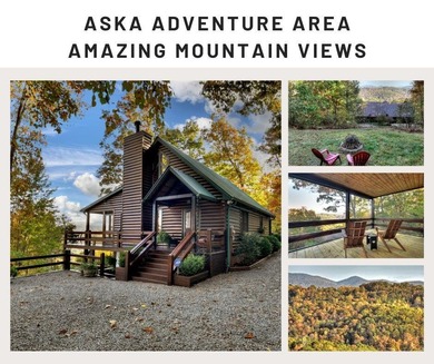 Lake Blue Ridge Home Active Under Contract in Blue Ridge Georgia