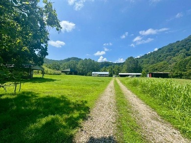 MLS11791984------179 Cow Lane, Arnoldsburg, WV - 16.63 acres +/- - photo 21