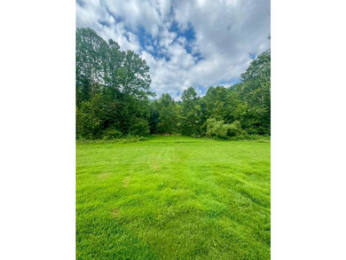 MLS11791984------179 Cow Lane, Arnoldsburg, WV - 16.63 acres +/- - photo 24