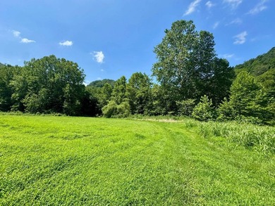 MLS11791984------179 Cow Lane, Arnoldsburg, WV - 16.63 acres +/- - photo 25