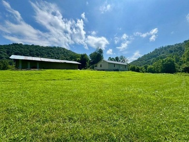 MLS11791984------179 Cow Lane, Arnoldsburg, WV - 16.63 acres +/- - photo 26