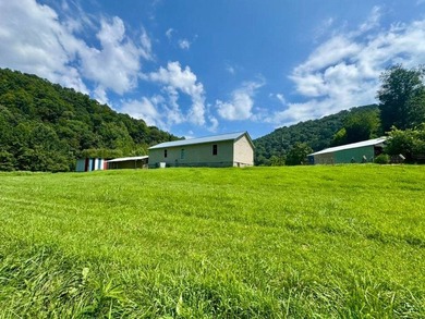 MLS11791984------179 Cow Lane, Arnoldsburg, WV - 16.63 acres +/- - photo 27