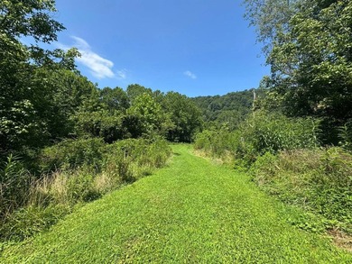 MLS11791984------179 Cow Lane, Arnoldsburg, WV - 16.63 acres +/- - photo 28