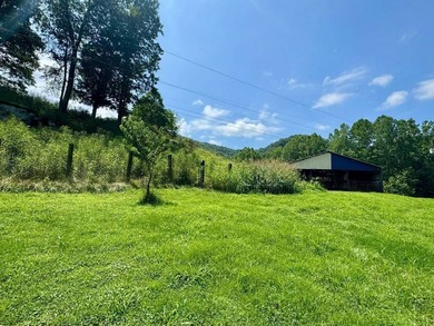 MLS11791984------179 Cow Lane, Arnoldsburg, WV - 16.63 acres +/- - photo 29