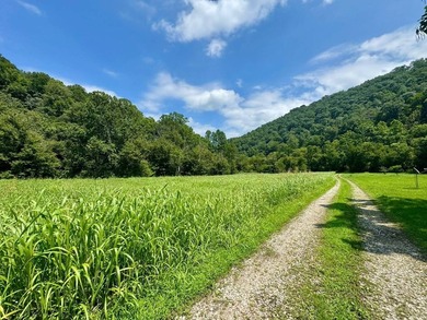 MLS11791984------179 Cow Lane, Arnoldsburg, WV - 16.63 acres +/- - photo 30