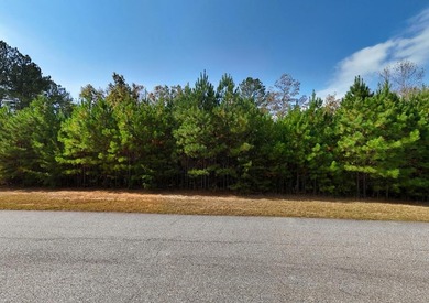 Lake Acreage For Sale in Blairsville, Georgia