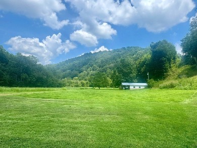 MLS11791984------179 Cow Lane, Arnoldsburg, WV - 16.63 acres +/- - photo 31