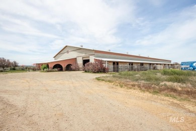 A Horse Lover's Paradise - Live, Ride, and Relax All in One