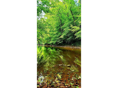 MLS11791984------179 Cow Lane, Arnoldsburg, WV - 16.63 acres +/- - photo 34