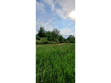 MLS11791984------179 Cow Lane, Arnoldsburg, WV - 16.63 acres +/- - photo 36
