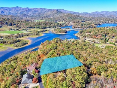 Lake Lot For Sale in Hiawassee, Georgia