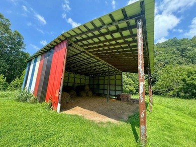 MLS11791984------179 Cow Lane, Arnoldsburg, WV - 16.63 acres +/- - photo 45
